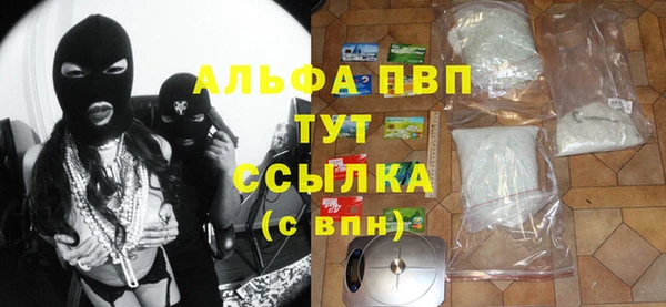 apvp Гусев