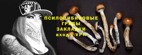 мескалин Гусиноозёрск